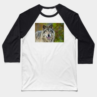 Timber Wolf Baseball T-Shirt